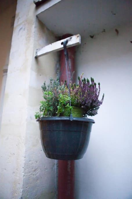 Charming Studio In A Courtyard In Parijs Buitenkant foto